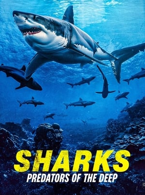 Sharks: Predators of the Deep