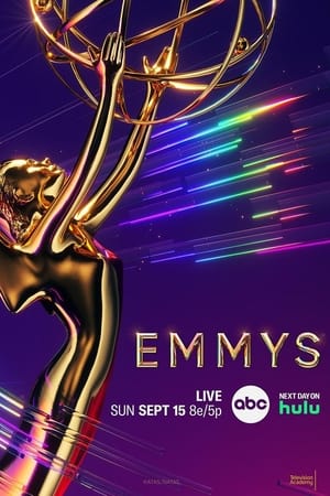 The 76th Primetime Emmy Awards