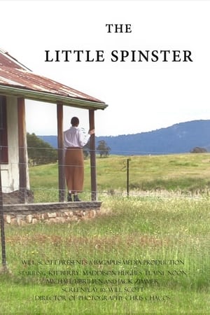 The Little Spinster